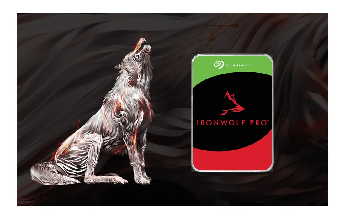IronWolf Pro — 產品/系列參考圖;外觀以具體版本為準。