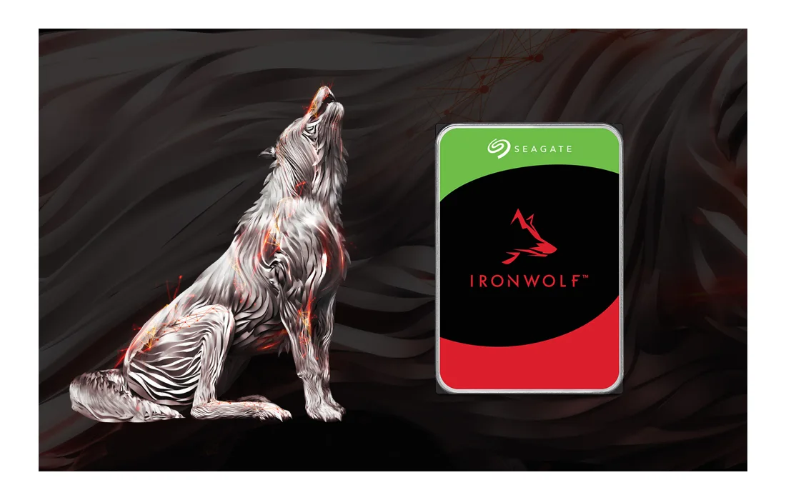 IronWolf — 產品/系列參考圖;外觀以具體版本為準。
